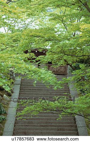 Jojakko-ji Temple, Kyoto Prefecture, Japan View Large Photo Image Stock Image - Jojakko-ji Temple, Kyoto Prefecture, Japan. Fotosearch