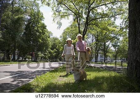 Picture - Mature couple walking dog. Fotosearch