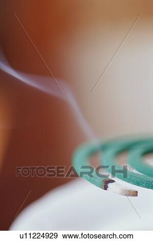 Stock Photo - Mosquito coil, close-up. Fotosearch