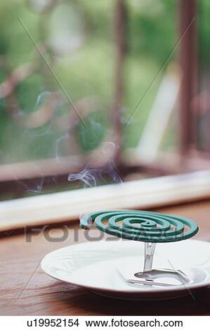 Mosquito coil View Large Photo Image Picture - Mosquito coil. Fotosearch