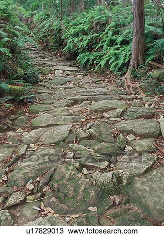 Stock Image - Pilgrimage route in Kumano. Fotosearch