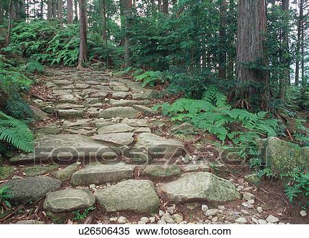 Pilgrimage route in Kumano View Large Photo Image Stock Photography - Pilgrimage route in Kumano. Fotosearch