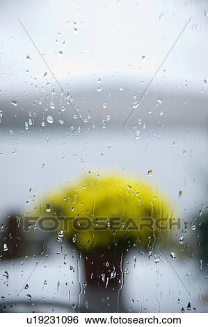 Stock Photograph - Rain drops on window. Fotosearch