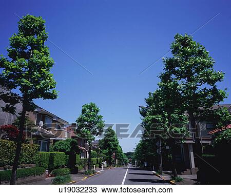 Residential district in Japan View Large Photo Image Stock Image - Residential district in Japan. Fotosearch