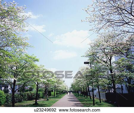 Stock Image - Residential district in Japan. Fotosearch
