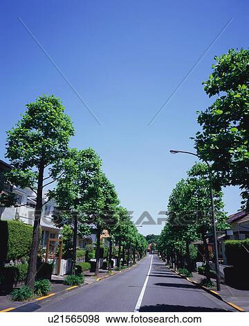 Residential district in Japan View Large Photo Image Stock Photo - Residential district in Japan. Fotosearch