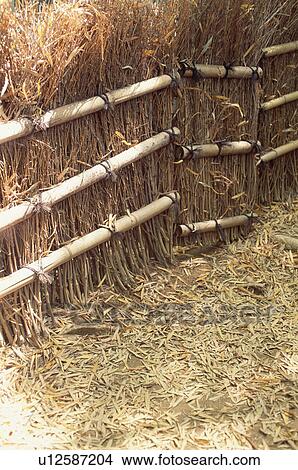 Picture - Sagano, Kyoto Prefecture, Japan. Fotosearch