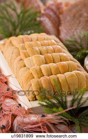 Stock Photo - Sea urchin. Fotosearch