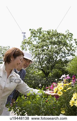 Senior couple looking at flowers View Large Photo Image Stock Photo - Senior couple looking at flowers. Fotosearch