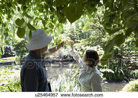 Stock Photo - Senior couple touching leaves. Fotosearch