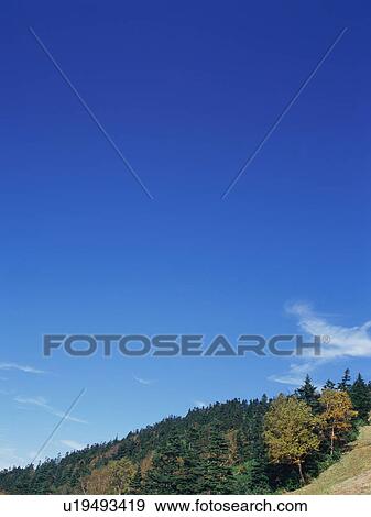 Shiga Plateau, Nagano Prefecture, Japan View Large Photo Image Stock Photo - Shiga Plateau, Nagano Prefecture, Japan. Fotosearch