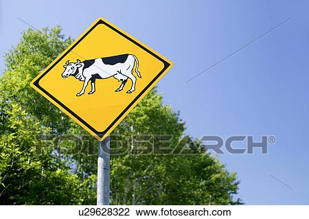 Stock Image - Sign of cow crossing. Fotosearch