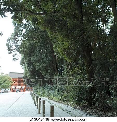 Simogamo Shrine, Kyoto Prefecture, Japan View Large Photo Image Stock Photo - Simogamo Shrine, Kyoto Prefecture, Japan. Fotosearch