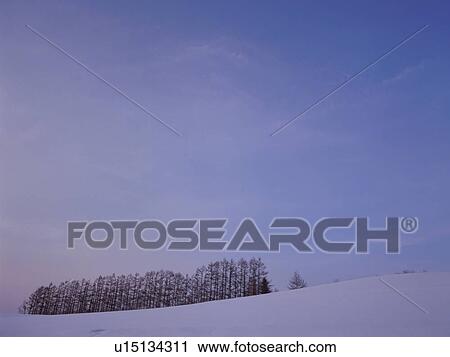 Stock Image - Snow-covered field in Hokkaido, Japan. Fotosearch