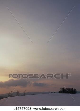 Snow-covered field in Hokkaido, Japan View Large Photo Image Stock Image - Snow-covered field in Hokkaido, Japan. Fotosearch