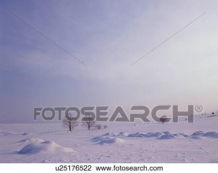 Stock Image - Snow-covered field in Hokkaido, Japan. Fotosearch