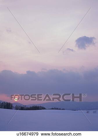 Snow-covered field in Hokkaido, Japan View Large Photo Image Stock Photo - Snow-covered field in Hokkaido, Japan. Fotosearch