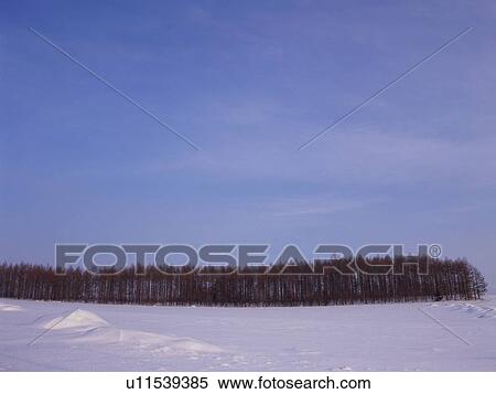 Snow-covered field in Hokkaido, Japan View Large Photo Image Stock Photography - Snow-covered field in Hokkaido, Japan. Fotosearch