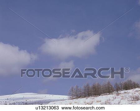 Snow-covered field in Nagano Prefecture, Japan View Large Photo Image Stock Image - Snow-covered field in Nagano Prefecture, Japan. Fotosearch