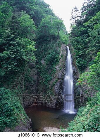 Waterfall in Shirakami Mountain, Aomori Prefecture, Japan View Large Photo Image Stock Image - Waterfall in Shirakami Mountain, Aomori Prefecture, Japan. Fotosearch