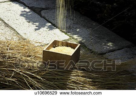 Stock Photo - White rice and hay. Fotosearch