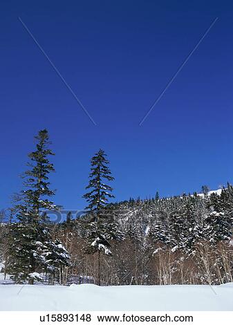 Stock Photo - Winter landscape, Nagano Prefecture, Japan. Fotosearch