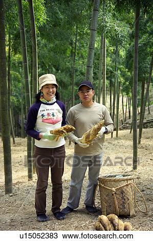 Stock Image - Young people holding bamboo shoots. Fotosearch