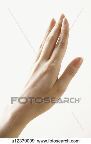 Stock Photo - Back of Hand. Fotosearch