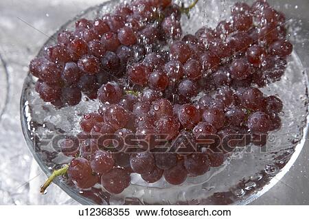 Stock Photography - Bunch of Grapes. Fotosearch