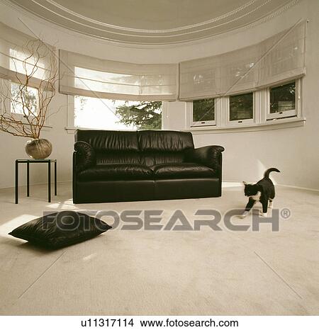 Picture - Cat playing in a living room. Fotosearch