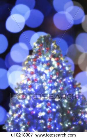 Christmas tree View Large Photo Image Stock Photo - Christmas tree. Fotosearch