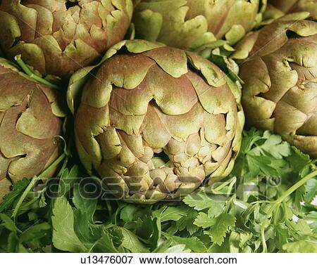 Stock Photo - Close up on artichoke. Fotosearch
