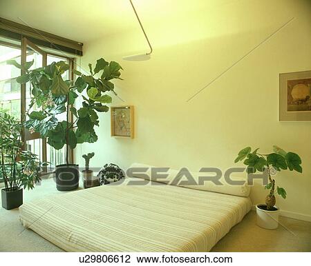 Contemporary bedroom with plants View Large Photo Image Stock Image - Contemporary bedroom with plants. Fotosearch