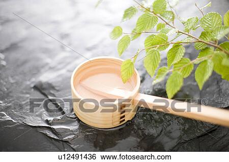 Corylopsis pauciflora View Large Photo Image Stock Photograph - Corylopsis pauciflora. Fotosearch