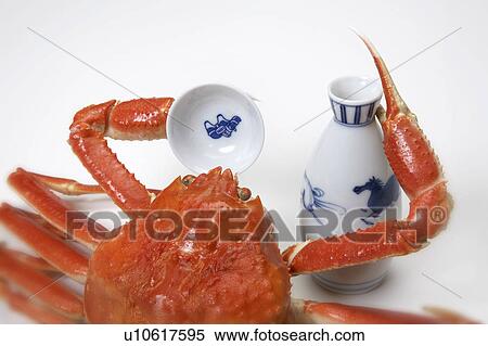 Stock Photography - Crab with Saki cup. Fotosearch