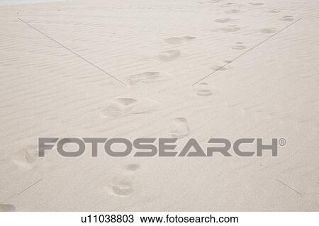 Stock Image - Footprints left on a beach. Fotosearch