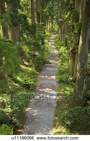 Fuji-Hakone-Izu National Park View Large Photo Image Stock Photograph - Fuji-Hakone-Izu National Park. Fotosearch