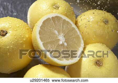Stock Photography - Grapefruit. Fotosearch
