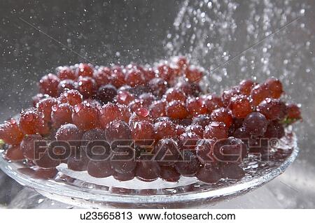 Stock Image - Grapes. Fotosearch