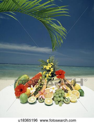 Stock Photograph - Large group of fruits near the ocean. Fotosearch