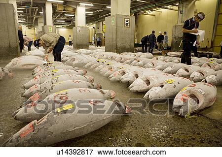 Metropolitan Central Wholesale Market View Large Photo Image Stock Photo - Metropolitan Central Wholesale Market. Fotosearch