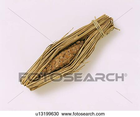 Natto View Large Photo Image Stock Image - Natto. Fotosearch