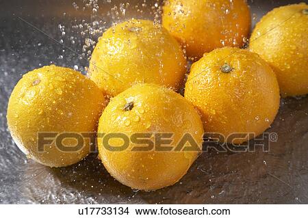 Picture - Oranges. Fotosearch