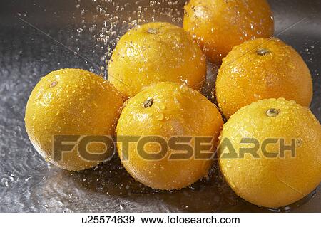 Stock Photo - Oranges. Fotosearch