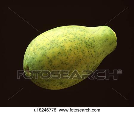 Papaya on black background View Large Photo Image Stock Photo - Papaya on black background. Fotosearch