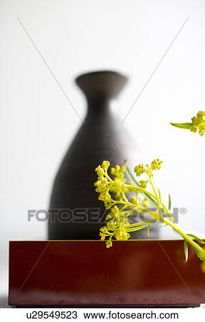 Stock Image - Patrinia scabiosaefolia and Sake bottle. Fotosearch