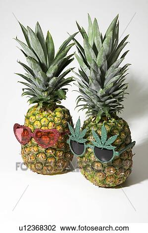 Stock Image - Pineapples with sunglasses. Fotosearch