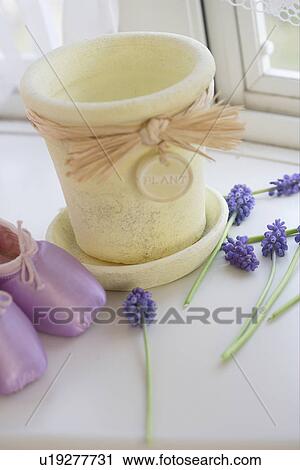 Pot View Large Photo Image Stock Image - Pot. Fotosearch