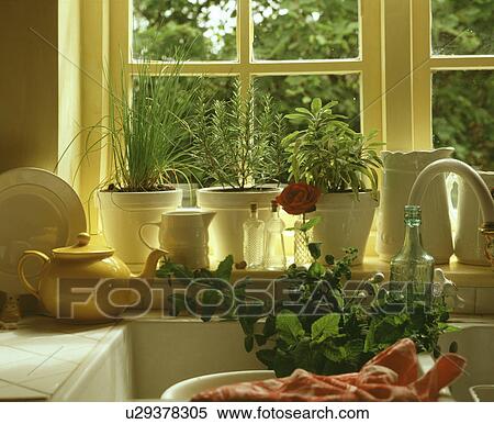 Stock Photography - Potted plants in the kitchen window. Fotosearch