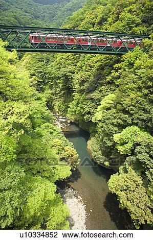 Stock Image - Rail bridge in Fuji-hakone-izu national park. Fotosearch